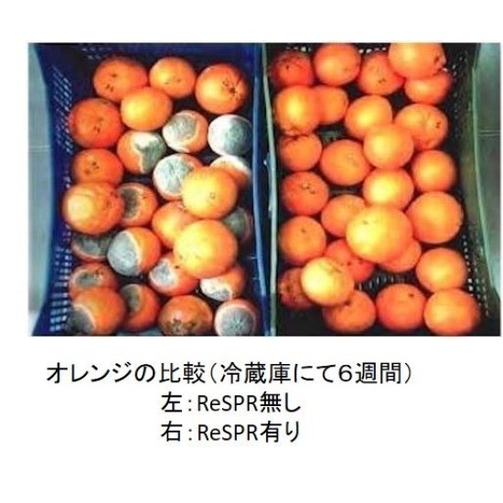ReSPR One NASA太空級空氣儀［美國製造,全球發售］醫療級消毒及殺菌ReSPR ONE （寵物可用）