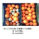 ReSPR One NASA太空級空氣儀［美國製造,全球發售］醫療級消毒及殺菌ReSPR ONE （寵物可用）